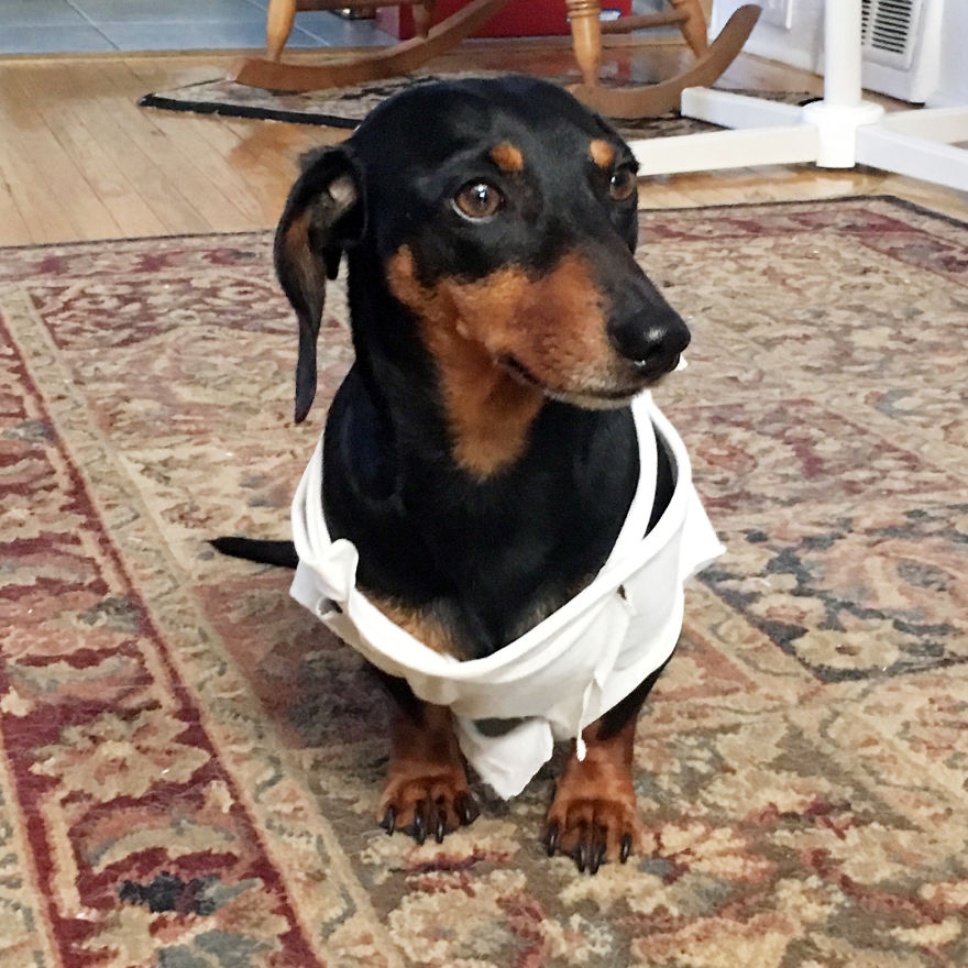 Christian, 42, War Reenactor #dogbios