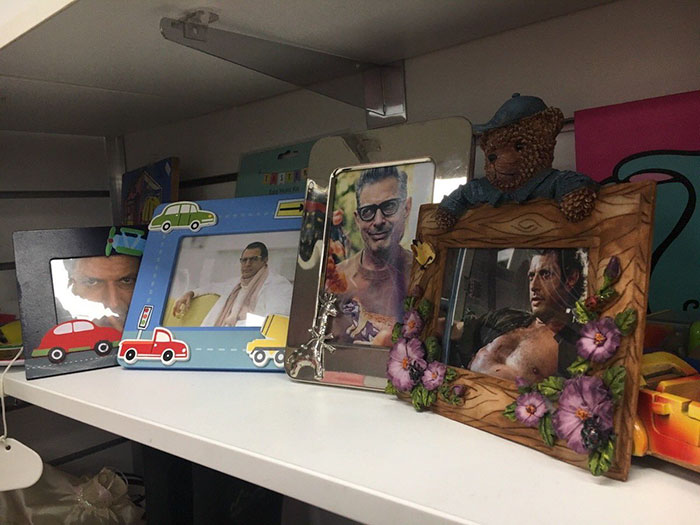 This Charity Shop Added A Picture Of Jeff Goldblum In Every Photo Frame They Had And It's Amusing