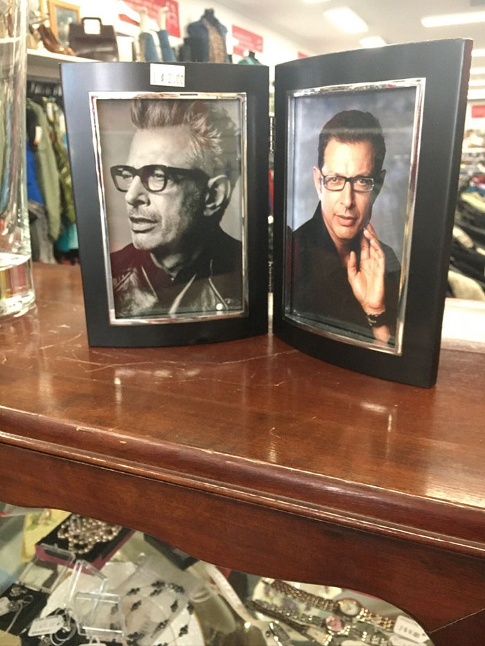 This Charity Shop Added A Picture Of Jeff Goldblum In Every Photo Frame They Had And It's Amusing