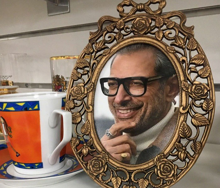 This Charity Shop Added A Picture Of Jeff Goldblum In Every Photo Frame They Had And It’s Amusing