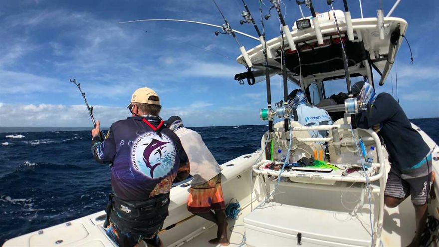 Trouble Chasing A Hooked Fish? Here’s Our Hot Tips Trouble Chasing A Hooked Fish? Here’s Our Hot Tips