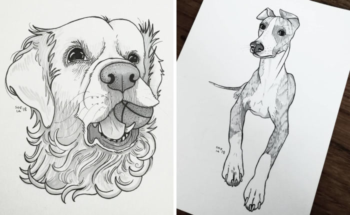 I Challenged Myself To Draw 30 Dogs In 30 Days