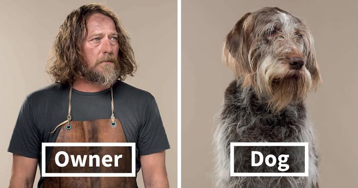 Photographer Puts Dogs And Their Owners Side By Side, And The Resemblance Is Uncanny