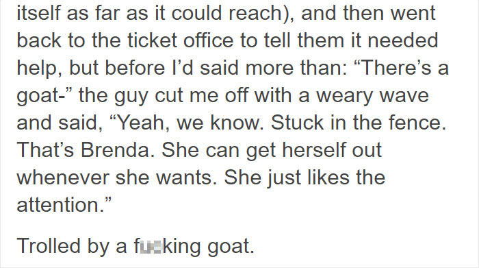 Hilariously Unbelievable Encounters With Goats That Prove They’re Actually Genius Trolls