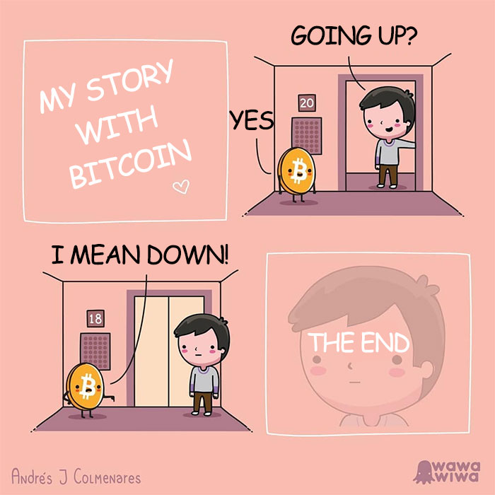 My Story With Bitcoin ... Going Up? Yes ... I Mean Down! ... The End