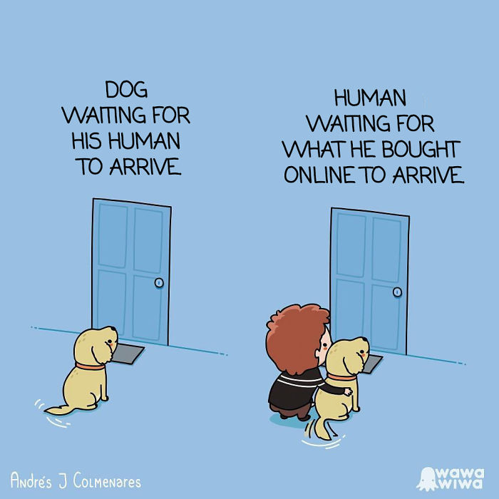Dog Waiting For His Human To Arrive. ... Human Waiting For What He Bought Online To Arrive.