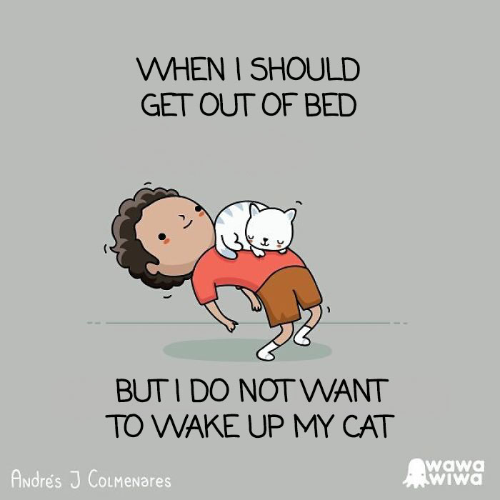 When I Should Get Out Of Bed ... But I Do Not Want To Wake Up My Cat.
