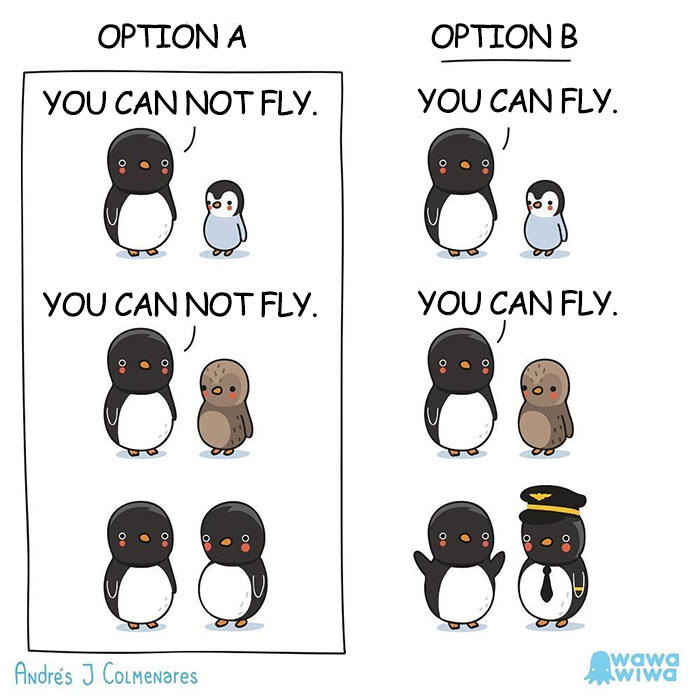 Option A: You Can Not Fly. Option B: You Can Fly.