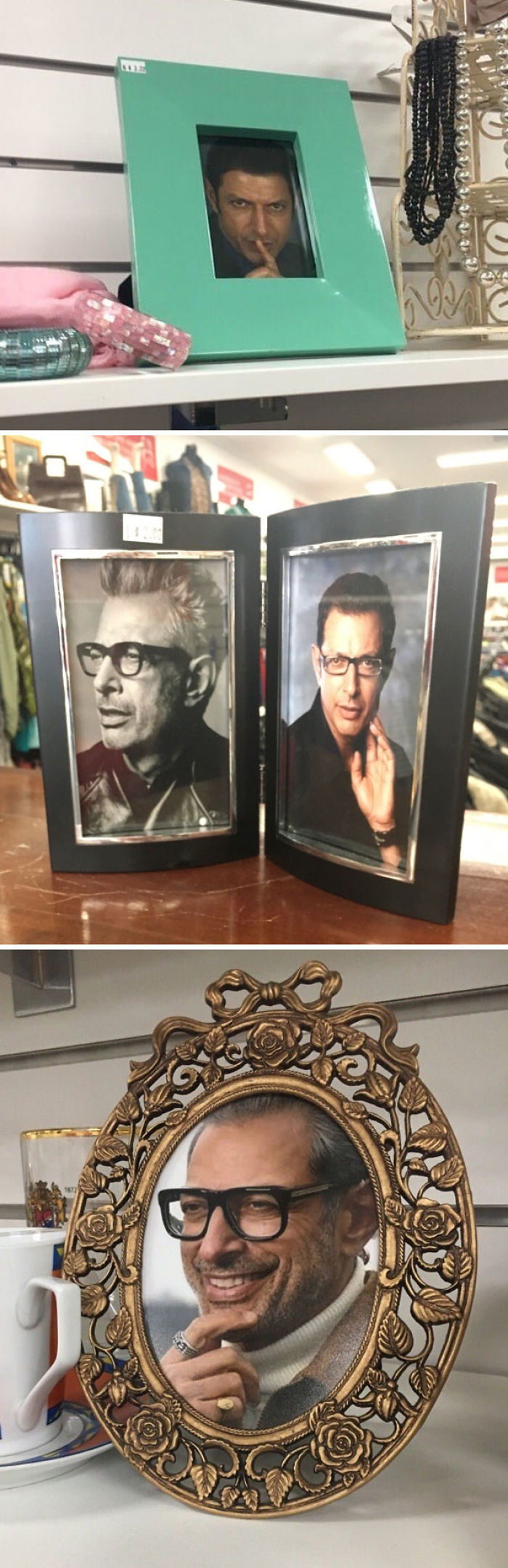 Uno de los que trabajan en la tienda de 2ª mano ha puesto a Jeff Goldblum en todos los marcos de fotos