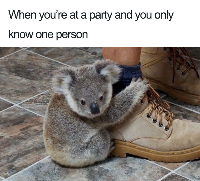 30 Funny Memes That Will Make Every Introvert Laugh | Bored Panda