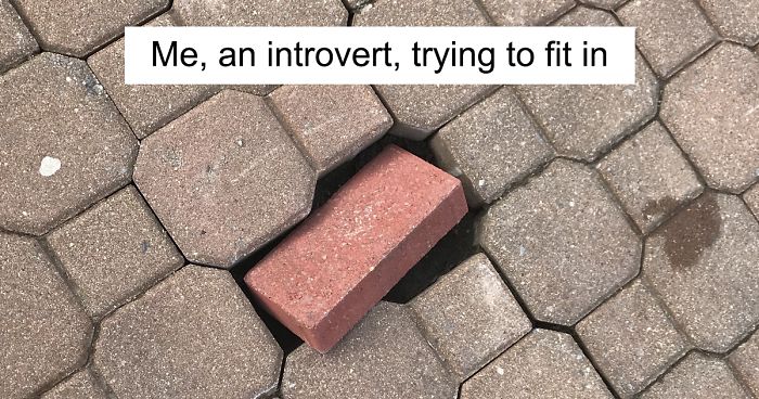 30 Funny Memes That Will Make Every Introvert Laugh Out Loud