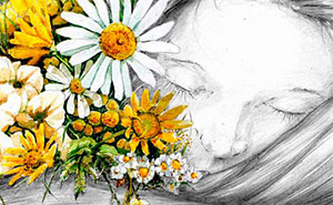 My Art Expresses How Places Are Affected By Our Actions And Our Absence