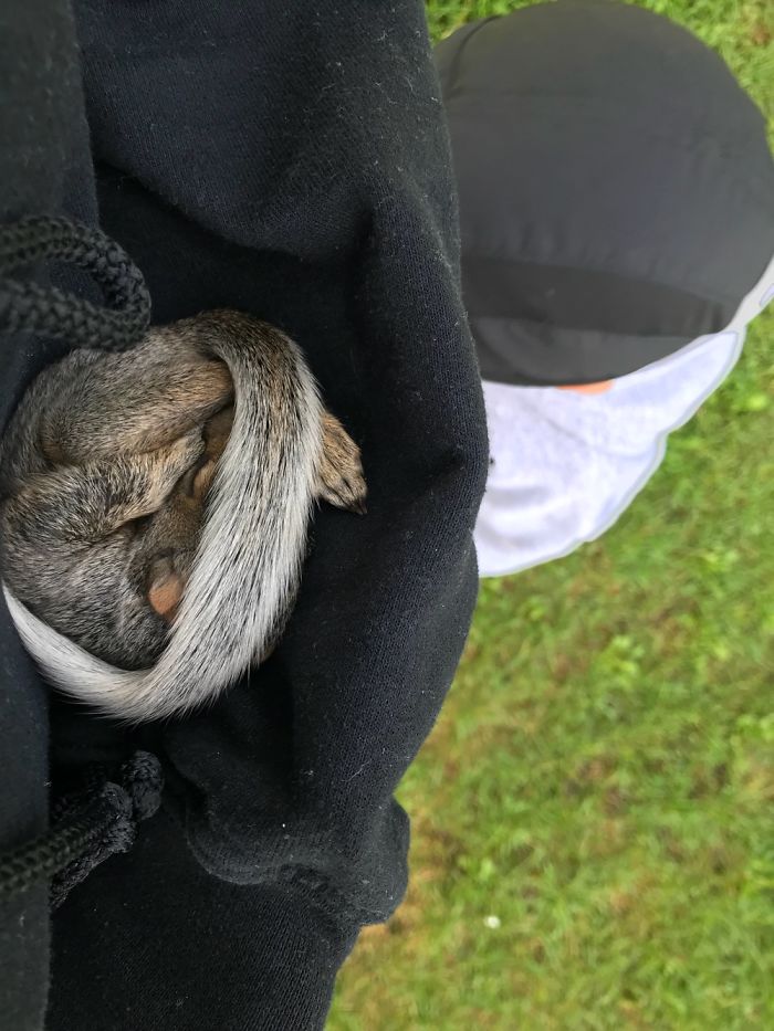 I Just Rescued A Baby Squirrel!