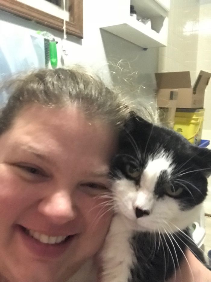 Cat Missing For 10 Years Reunited With Owner Thanks To Microchip