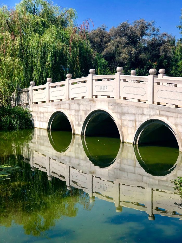 The Amazing World Of The Huntington Garden In L.a.