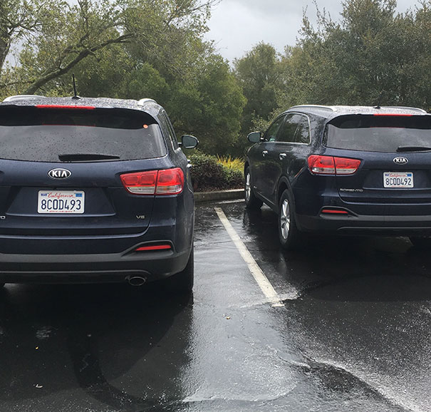 My Rental Car Is On The Left. Parked At A Winery And Came Outside To Find This