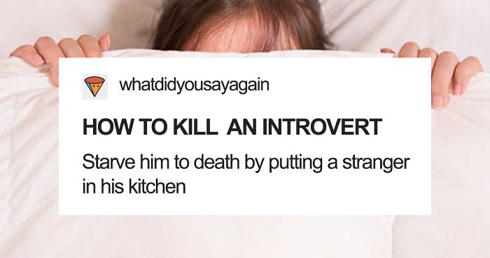 51 Times Tumblr Made Introverts Laugh Out Loud