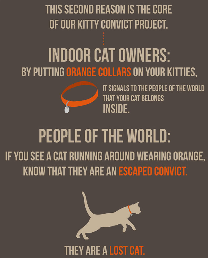 collar for indoor cat