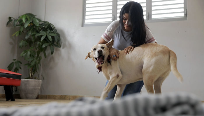 #WhatTheFluff For Abandoned Dogs