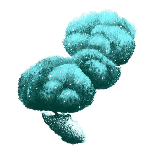 I Created A New Galaxy I Created A New Galaxy