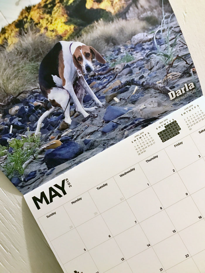 2019 Pooping Dog Calendar Is Here, And It's The Crappiest Calendar We've Ever Seen