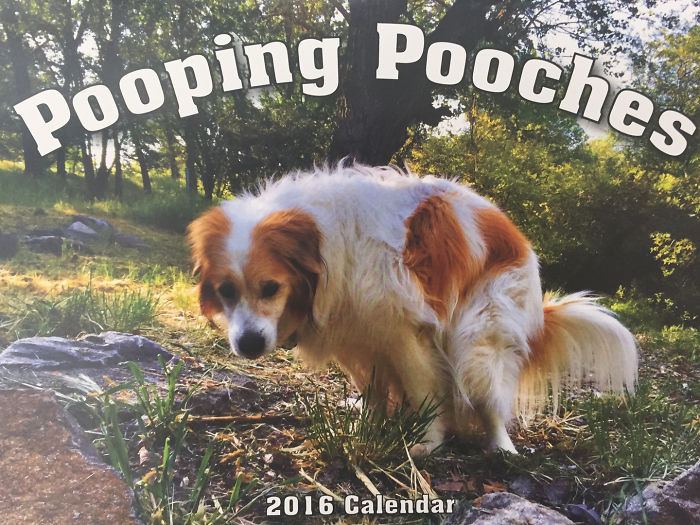 2019 Pooping Dog Calendar Is Here, And It's The Crappiest Calendar We've Ever Seen