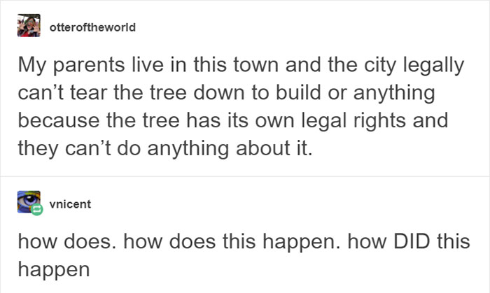 This City Granted The Right For This Tree To Own Itself And It's Brilliant