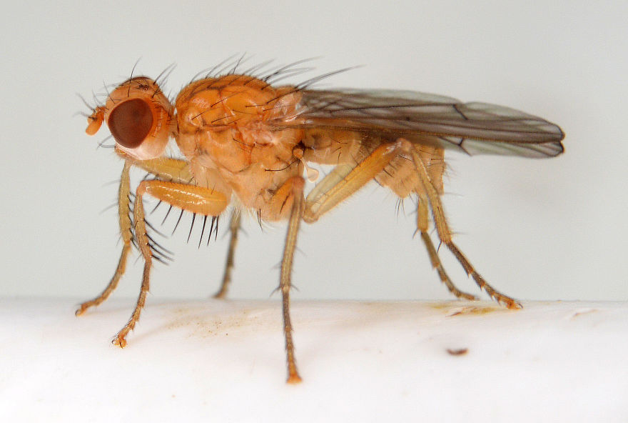 I Try To Show The Beauty Of Small Creatures I Try To Show The Beauty Of Small Creatures
