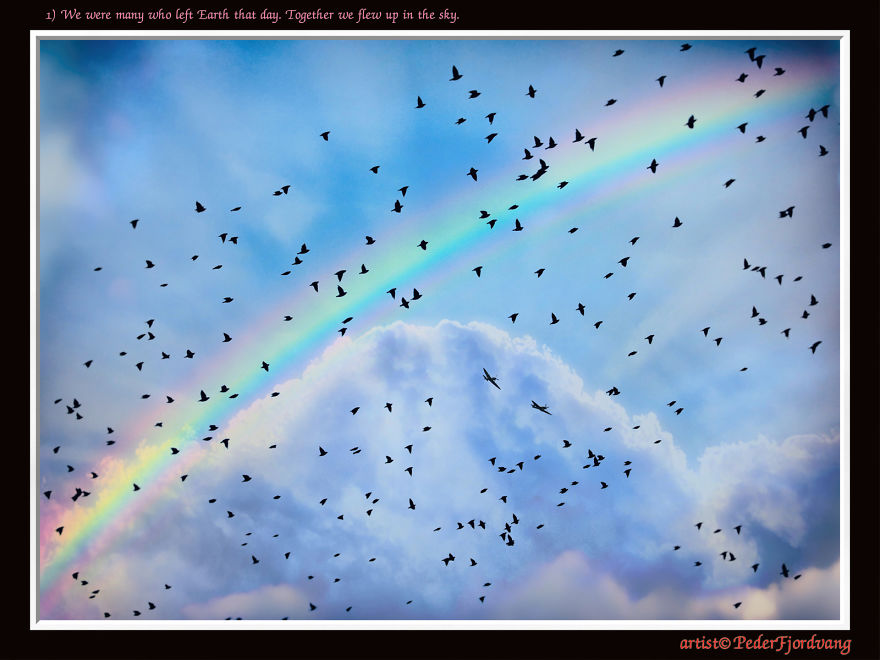 The Rainbow Story