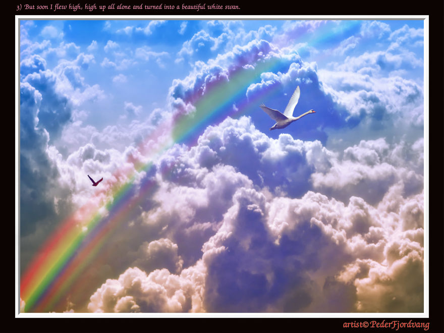 The Rainbow Story