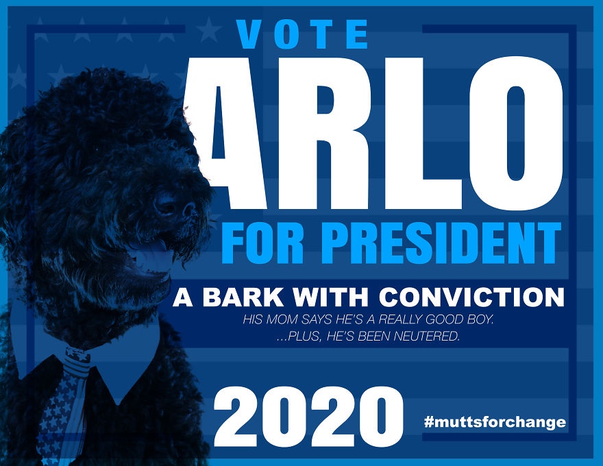This Very Good Boi Wants You To Vote
