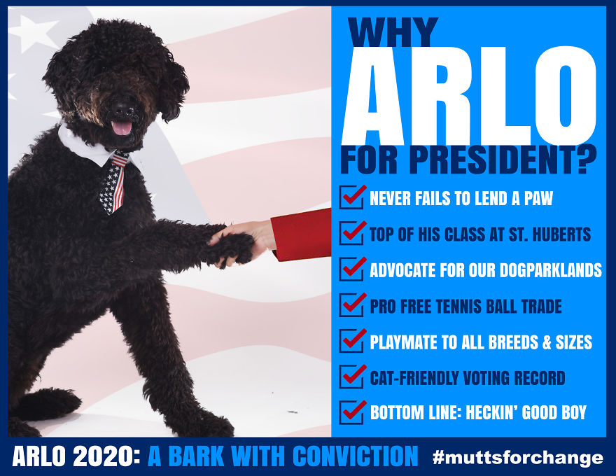 This Very Good Boi Wants You To Vote