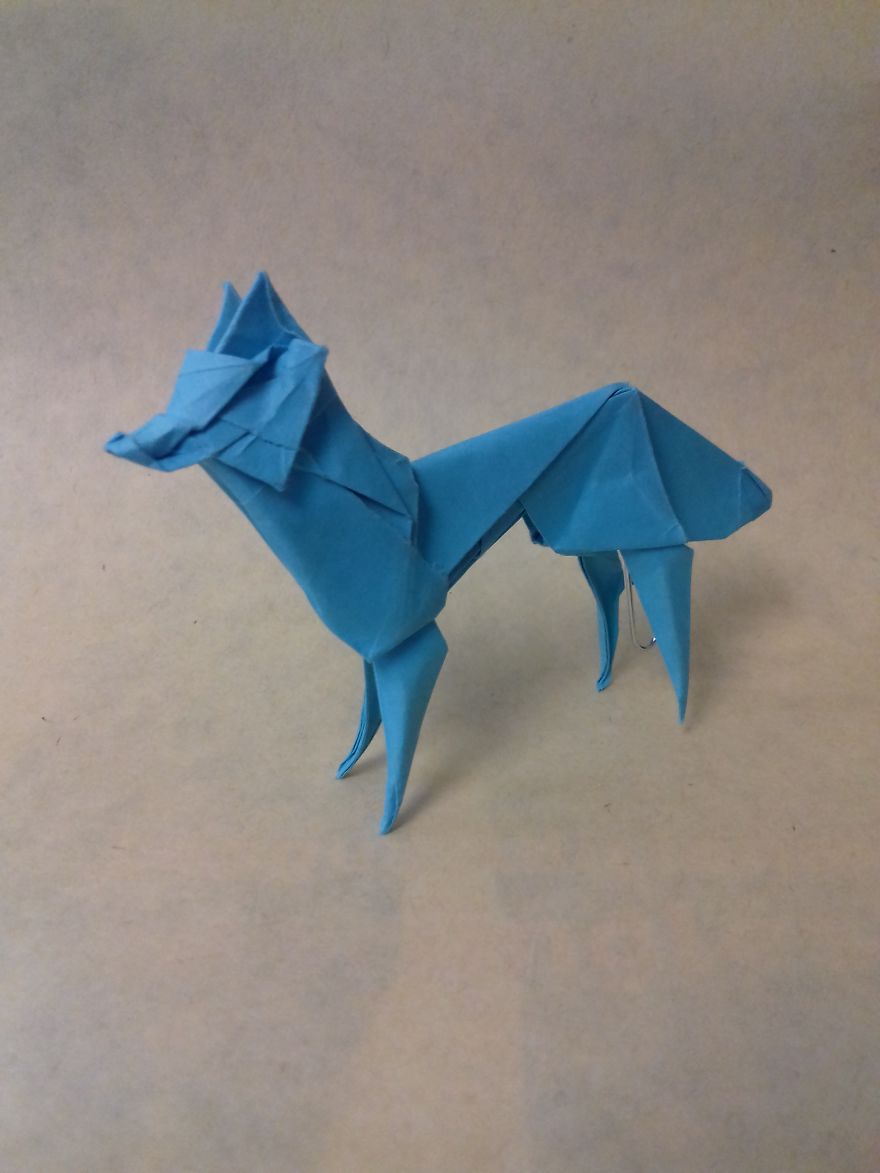 Origami Models