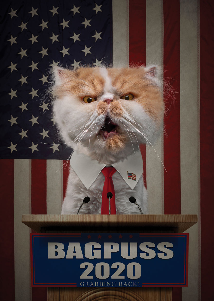 Vote 1 Bagpuss