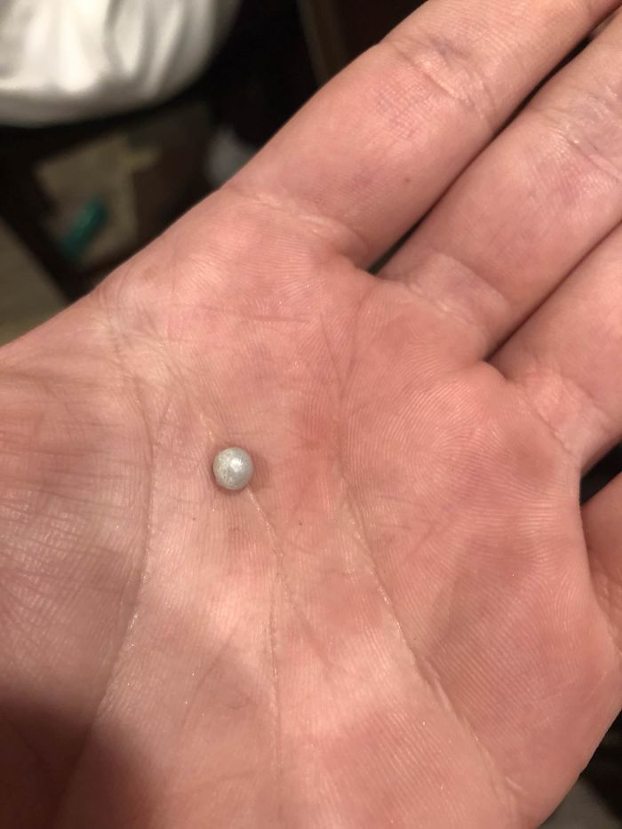 Encontré una perla en una ostra que compré en la lonja