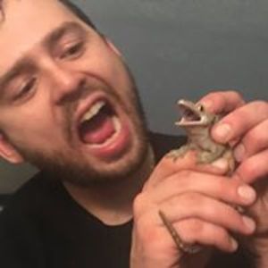 konstantin_pavlov_1 avatar