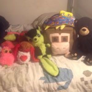 fluffydaskunk676 avatar