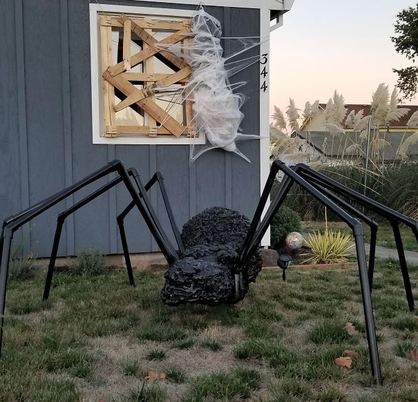 Looks Like The Yard Spider Got Something...
