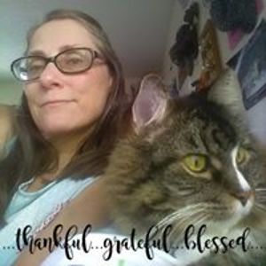 lisa_guadagnoli avatar