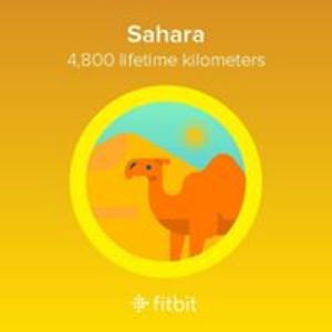 smokeysmum1965 avatar