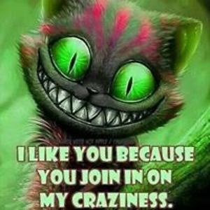 mark131057taylor avatar