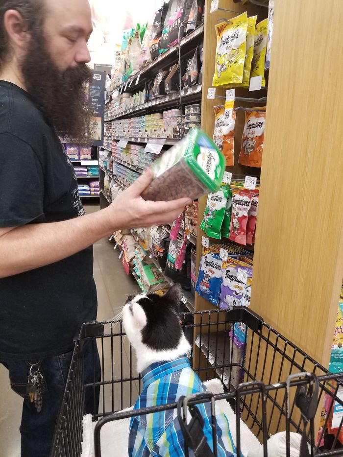 My Husband Describing Treat Flavors To Our Cat