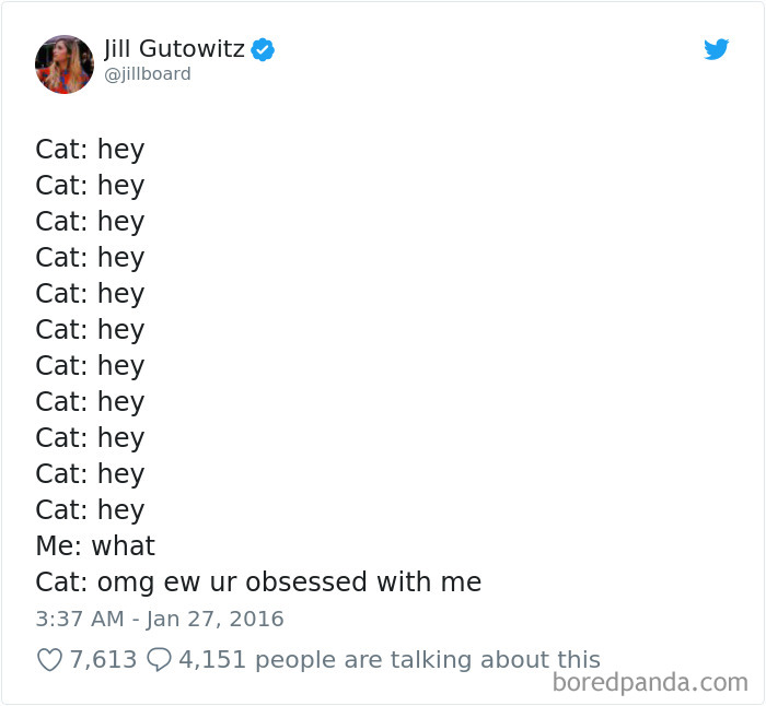 Cat Tweets