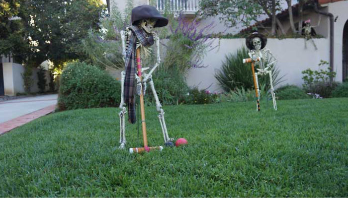 So...... Who Wants To Play A Game Of Croquet????