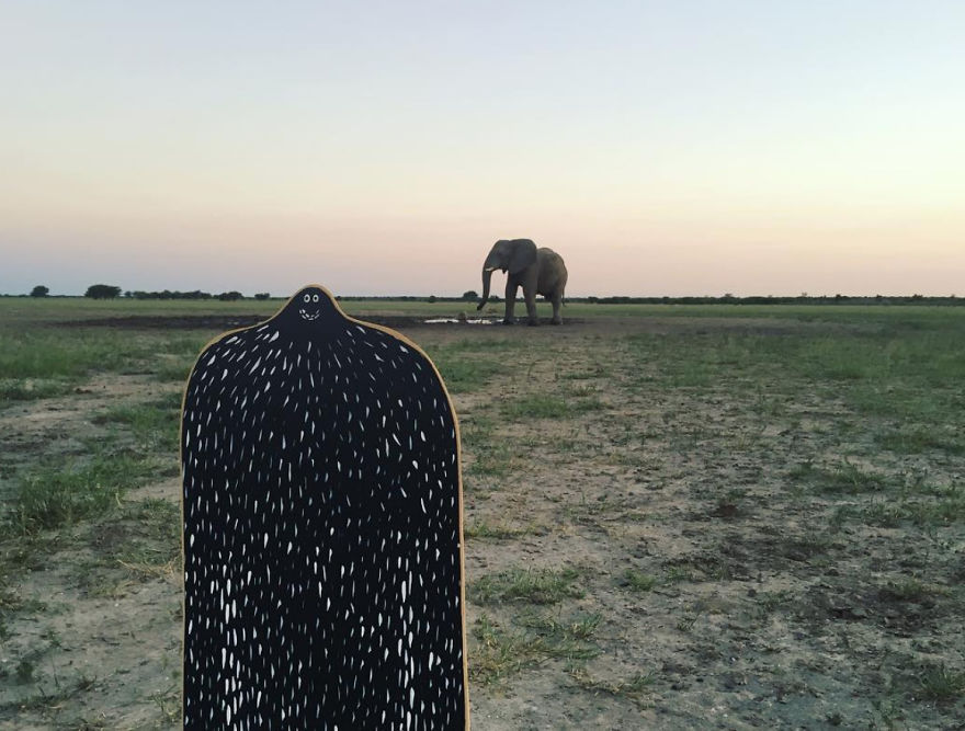 #lylesighting - Kalahari, Botswana