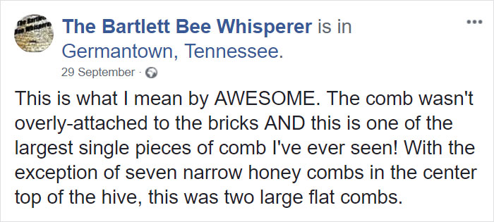 Bee Remover Posts What He Found After Removing The Bricks From A Client's Home, And His Photos Go Viral