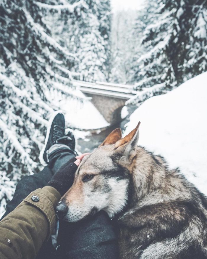 Tired Of #FollowMeTo Instagram Pics? This Guy Pets His Dog Everywhere He Goes, And It’s 1000 Times Better
