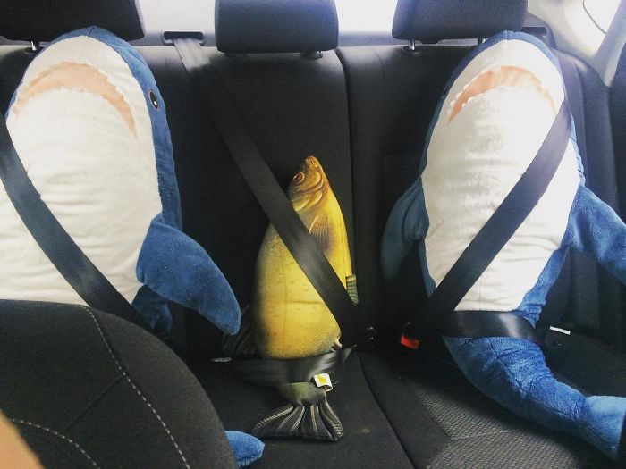 IKEA Released An Adorable Plush Shark And People Are Losing Their Minds Over It