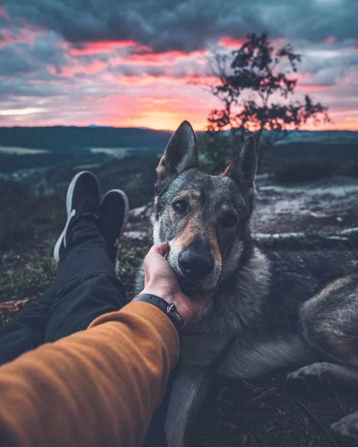 Tired Of #FollowMeTo Instagram Pics? This Guy Pets His Dog Everywhere He Goes, And It’s 1000 Times Better