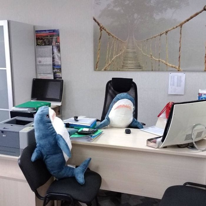 IKEA Released An Adorable Plush Shark And People Are Losing Their Minds Over It